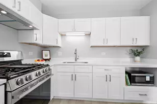 6670 S Brainard Ave, Countryside, IL 60525 - Photo 13