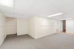 21730 Ivanhoe Trail, Plainfield, IL 60544 - Photo 19