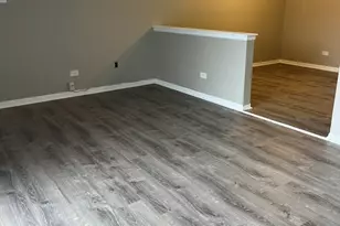 7041 99th St, Chicago Ridge, IL 60415 - Photo 3