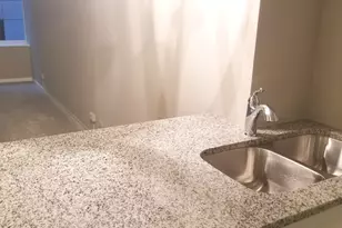 [Address not provided], Chicago, IL 60611 - Photo 5