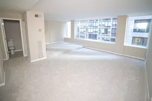 [Address not provided], Chicago, IL 60611 - Photo 7