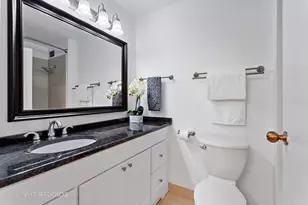 401 E Ontario St, Chicago, IL 60611 - Photo 9