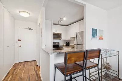 1355 N Sandburg Terrace #2103, Chicago, IL 60610 - Photo 9