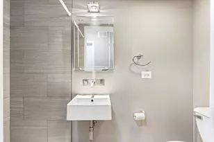 1613 S Ruble St, Chicago, IL 60616 - Photo 25