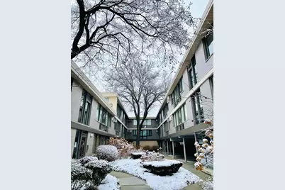 1044 Ontario Street #2C, Oak Park, IL 60302 - Photo 19