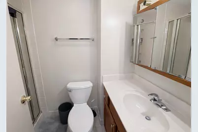 2605 S Indiana Avenue #301, Chicago, IL 60616 - Photo 7