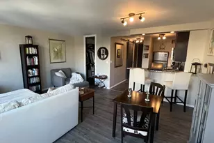 1 E Scott St, Chicago, IL 60610 - Photo 5