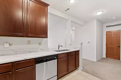 10 Ford Street #306, Geneva, IL 60134 - Photo 7