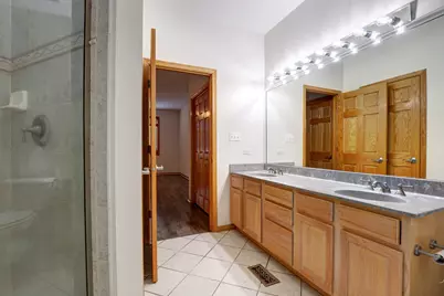 9334 Chestnut Trail, Tinley Park, IL 60487 - Photo 13