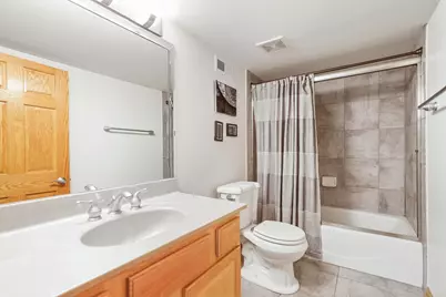 9334 Chestnut Trail, Tinley Park, IL 60487 - Photo 29