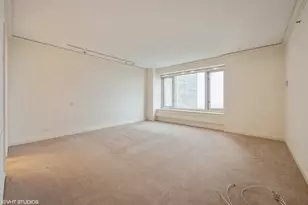 132 E Delaware Pl, Chicago, IL 60611 - Photo 9