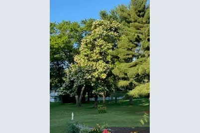 120 Apple Avenue, Lemont, IL 60439 - Photo 35