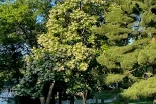 120 Apple Ave, Lemont, IL 60439 - Photo 35