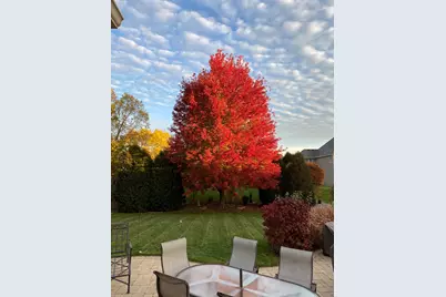 40W378 Francis Bret Harte Street, Saint Charles, IL 60175 - Photo 75