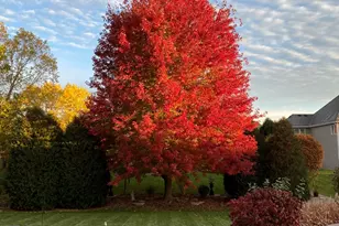 40W378 Francis Bret Harte St, Saint Charles, IL 60175 - Photo 75