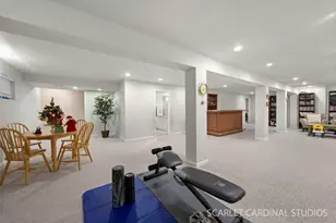 20259 S Countryside Ct, Frankfort, IL 60423 - Photo 23