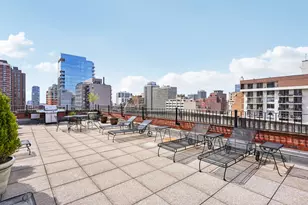 73 E Elm St, Chicago, IL 60611 - Photo 33