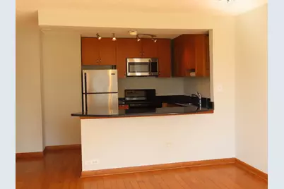 1460 N Sandburg Terrace #803A, Chicago, IL 60610 - Photo 5