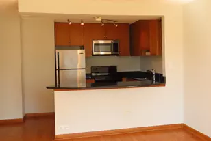 1460 N Sandburg Terrace, Chicago, IL 60610 - Photo 5