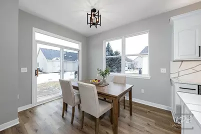 733 S Mecosta Lane, Romeoville, IL 60446 - Photo 17