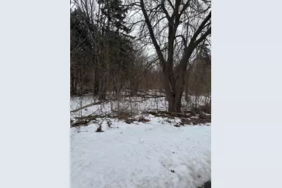 1601 Faithorn Avenue, Crete, IL 60417 - Photo 3