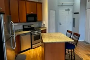 1919 S Michigan Ave, Chicago, IL 60616 - Photo 3