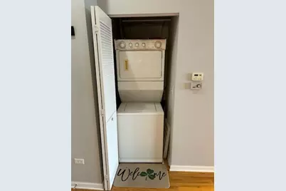 1919 S Michigan Avenue #400, Chicago, IL 60616 - Photo 7