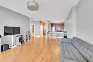 100 E 14th St, Chicago, IL 60605 - Photo 9