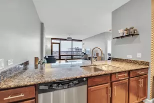 100 E 14th St, Chicago, IL 60605 - Photo 13