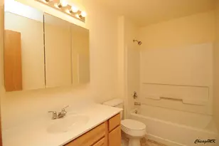 917 Silverstone Dr, Carpentersville, IL 60110 - Photo 9