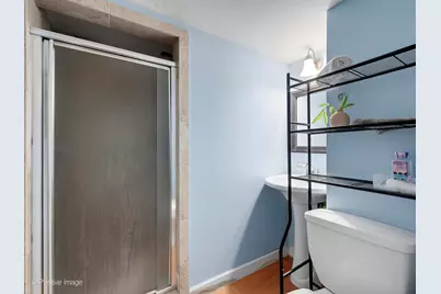 254 Coe Road, Clarendon Hills, IL 60514 - Photo 19