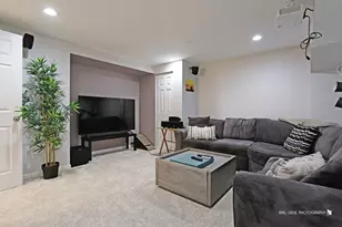 451 W Waterbury Dr, Round Lake, IL 60073 - Photo 17