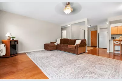 1001 N Mill Street #302, Naperville, IL 60563 - Photo 3
