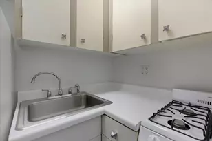 3727 N Pine Grove Ave, Chicago, IL 60613 - Photo 7