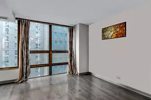 230 E Ontario St, Chicago, IL 60611 - Photo 9