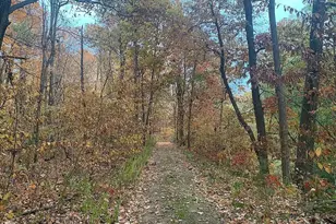 675 E County Road 1180 Rd, Warsaw, IL 62379 - Photo 21