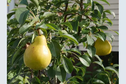 1221 N State Route 1 17 Route, Momence, IL 60954 - Photo 33