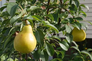 1221 N State Route 1 17 Rte, Momence, IL 60954 - Photo 33