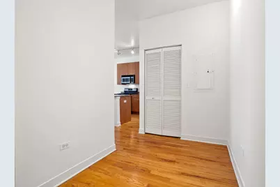 1515 S Halsted Street #204, Chicago, IL 60607 - Photo 15
