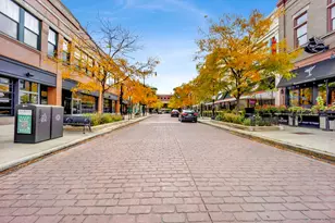 1515 S Halsted St, Chicago, IL 60607 - Photo 21