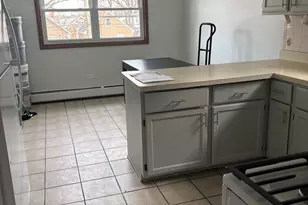 4801 S Kolin Ave, Chicago, IL 60632 - Photo 17