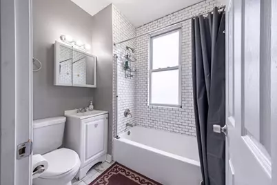 209 S Albany Avenue, Chicago, IL 60612 - Photo 17