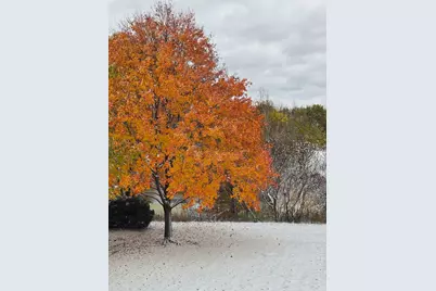 1163 Omalley Drive, Lake Zurich, IL 60047 - Photo 51