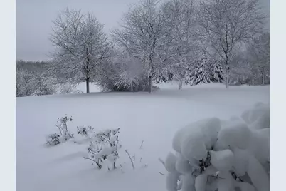 1163 Omalley Drive, Lake Zurich, IL 60047 - Photo 47