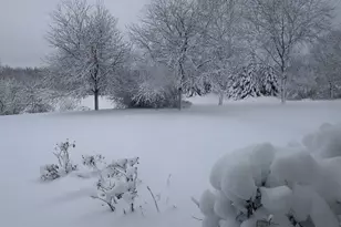 1163 O'Malley Dr, Lake Zurich, IL 60047 - Photo 47