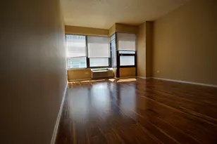 30 E Huron St, Chicago, IL 60611 - Photo 5
