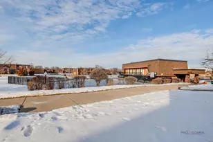 725 Limerick Ln, Schaumburg, IL 60193 - Photo 19