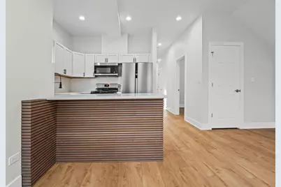 818 S Karlov Avenue, Chicago, IL 60624 - Photo 19