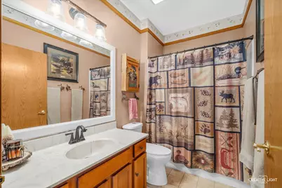 21011 W Snowberry Court, Plainfield, IL 60544 - Photo 11