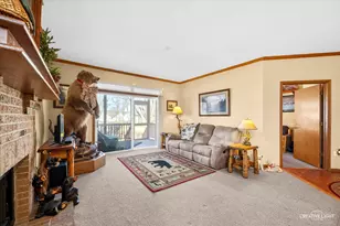 21011 W Snowberry Ct, Plainfield, IL 60544 - Photo 9